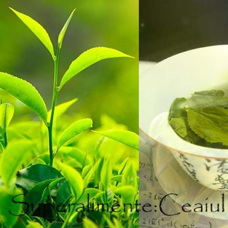 ceaiul verde si sanatatea